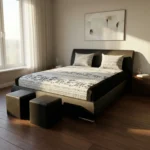 PHORA-Kenya Franciaágy